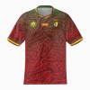 Camiseta de fútbol Camerún Segunda Equipación 23-24 - Hombre